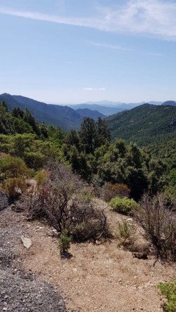 Man kommt  ca. auf 1000 Höhenmeter  eine ihre Landschaft